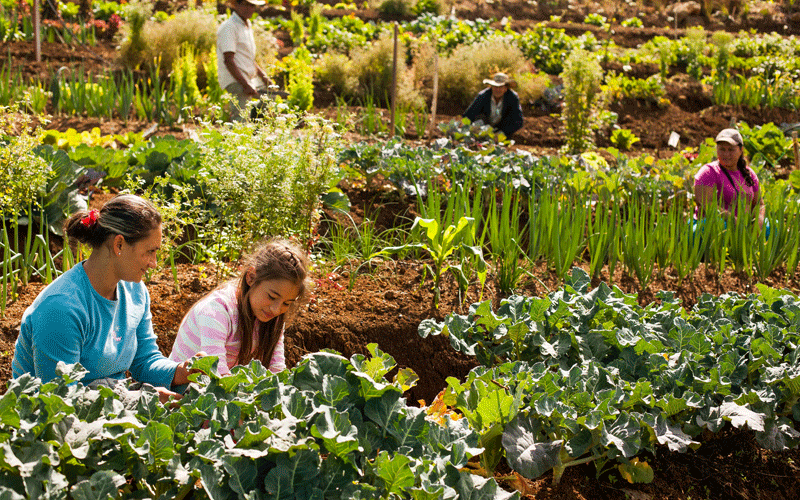 agroeco 1.jpg 1.gif