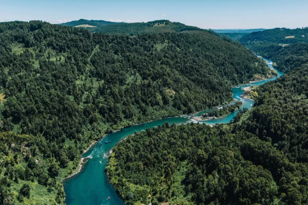 R&iacute;o San Pedro, comuna de Los Lagos, regi&oacute;n de Los R&iacute;os / Cr&eacute;ditos: Pablo Llonc&oacute;n