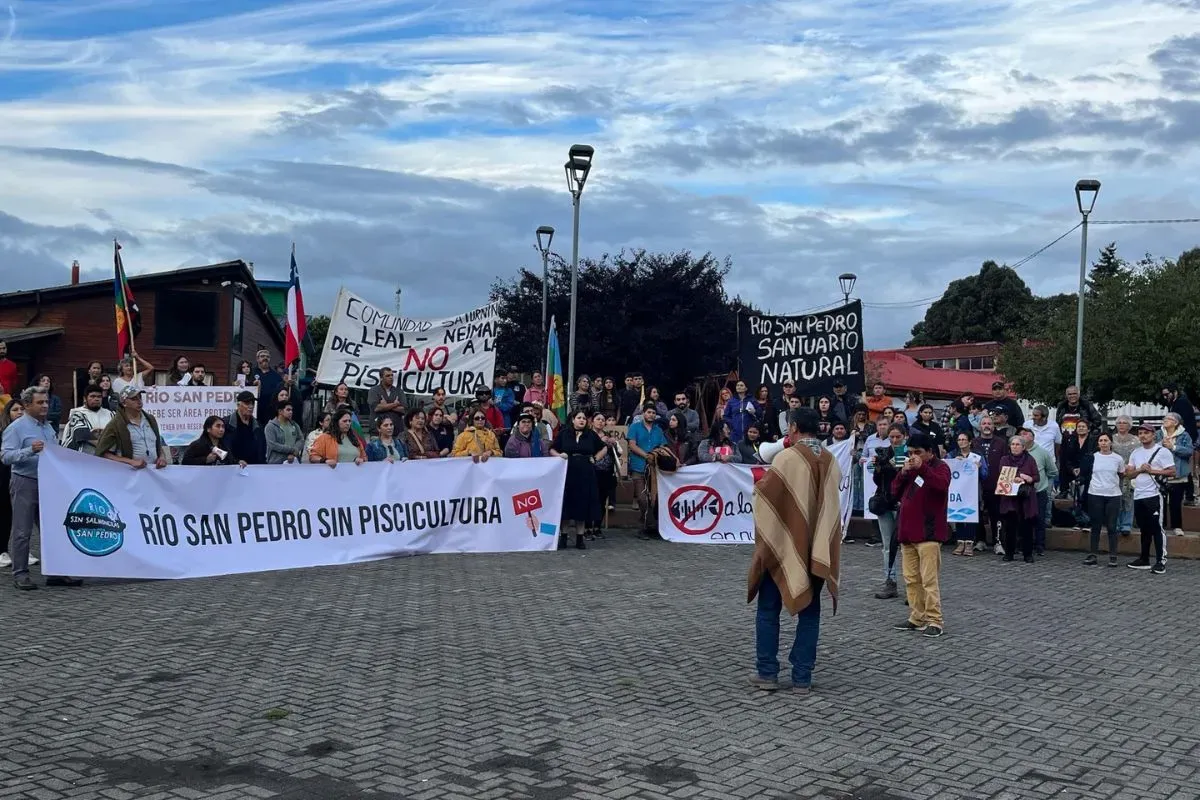 Marcha ciudadana &ldquo;&iexcl;No a la salmonera, río San Pedro libre!&rdquo; febrero 2025, comuna de Los Lagos, región de Los Ríos