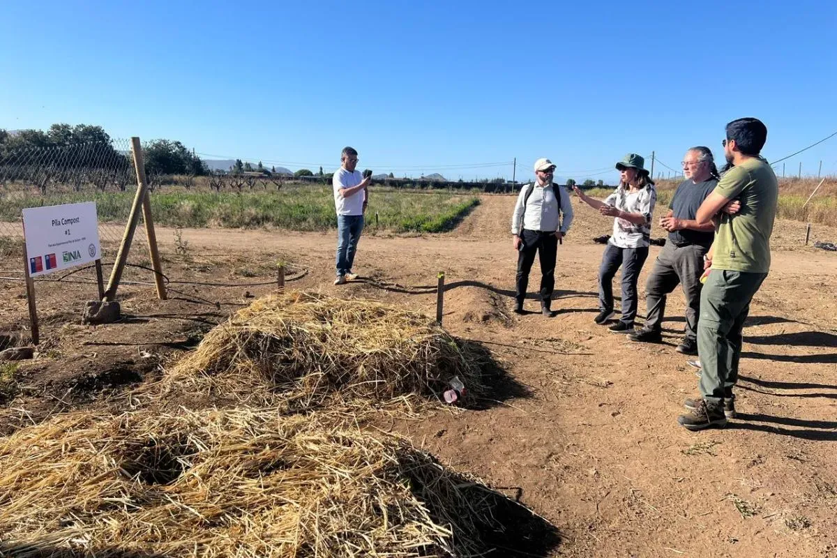 Hay nutrientes en los residuos que son esenciales en cantidades que podr&iacute;an ser extra&iacute;dos a trav&eacute;s de la mineralizaci&oacute;n o del compostaje.