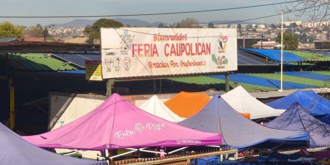 La Feria Caupolic&aacute;n est&aacute; en el sector de G&oacute;mez Carre&ntilde;o, Vi&ntilde;a del Mar.