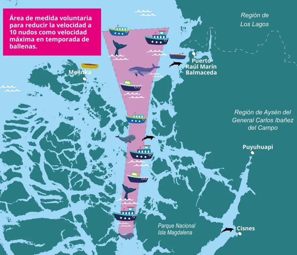 Mapa indica las zonas de mayor circulaci&oacute;n de ballenas.