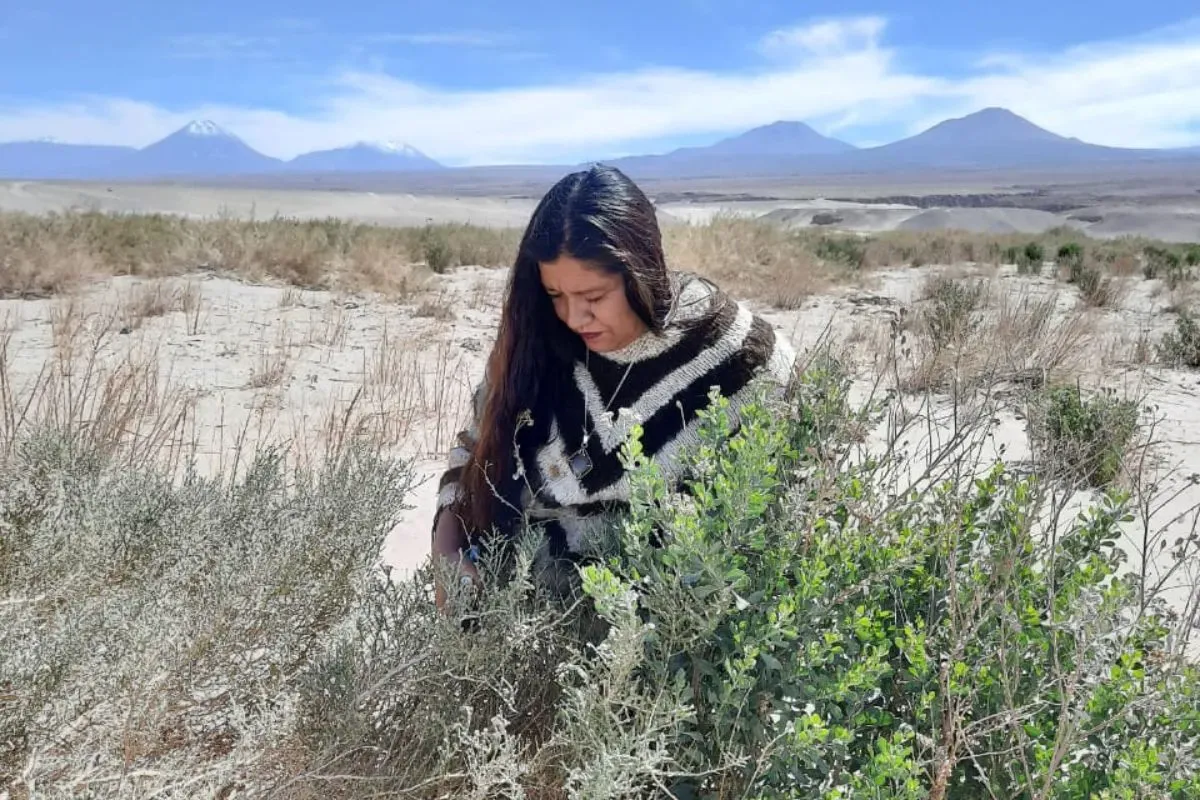 Patricia P&eacute;rez, emprendedora y yerbera ind&iacute;gena.