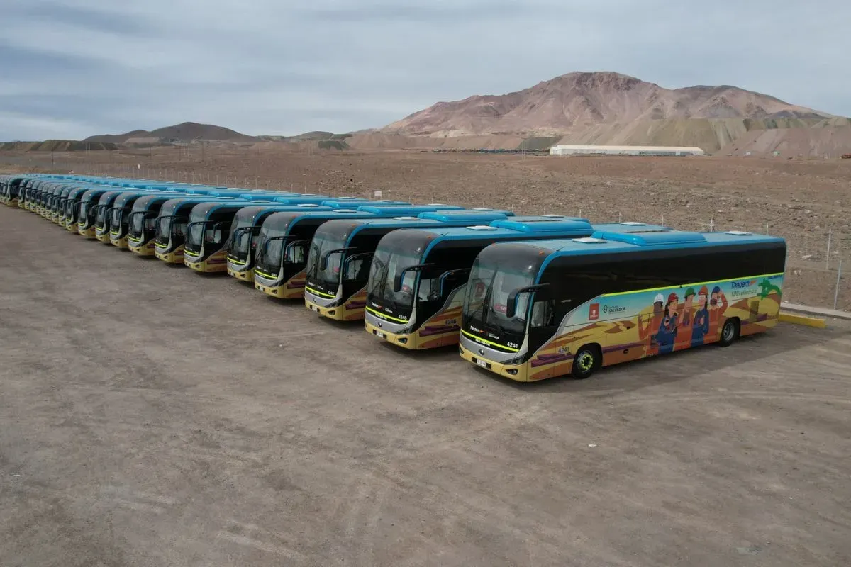 Flota de buses el&eacute;ctricos.