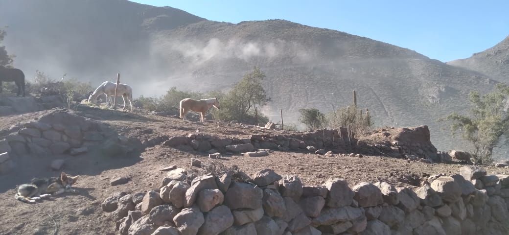 Poluci&oacute;n emitida por Minera Tres Valles