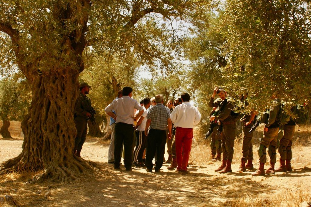 delegaci&oacute;n diputados palestina