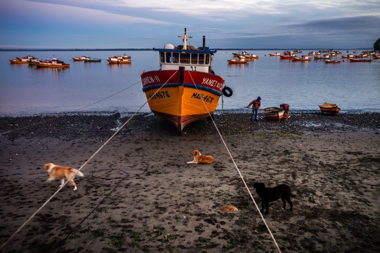 Caleta Carelmapu (Foto: Nube Roja).