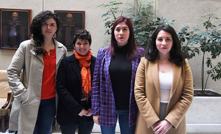 mujeres frente amplio