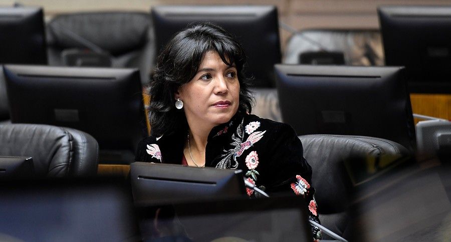 yasna provoste