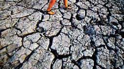 Desertificación y sequía en Coquimbo: Inversión de $300 millones para combatir crisis hídrica