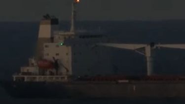 El primer buque con cereal ucraniano llegó a la costa turca, cerca de Estambul