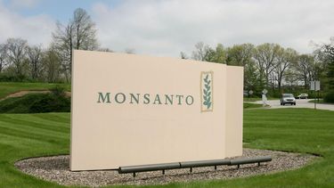 Quién es Monsanto y por qué lo queremos fuera de nuestros territorios