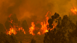 Crisis climática. Crisis climática.