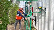 innovacion y transicion energetica: cnp valida exitosamente la primera caldera hibrida de hidrogeno verde y glp en chile