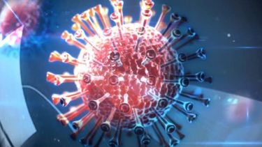 Canadá investiga posibles casos de la nueva hepatitis infantil aguda