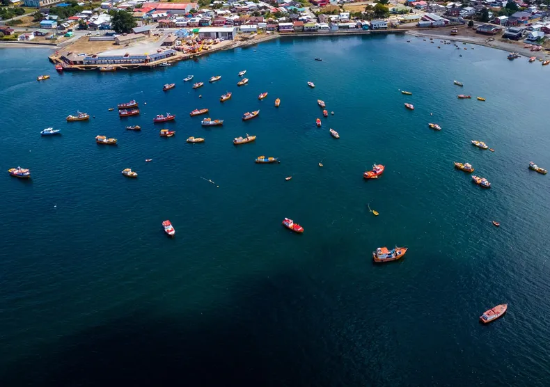 30566 pesca jibia artesanal.webp