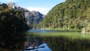 El Desconcierto | reserva los alacalufes1.jpg