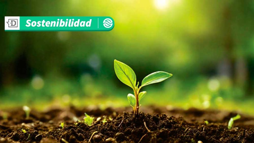 BancoEstado refuerza su compromiso con la sostenibilidad a través de su plataforma Impacto Verde