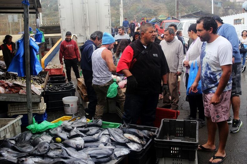 Venta de pescado en la Caleta Portales.jpg