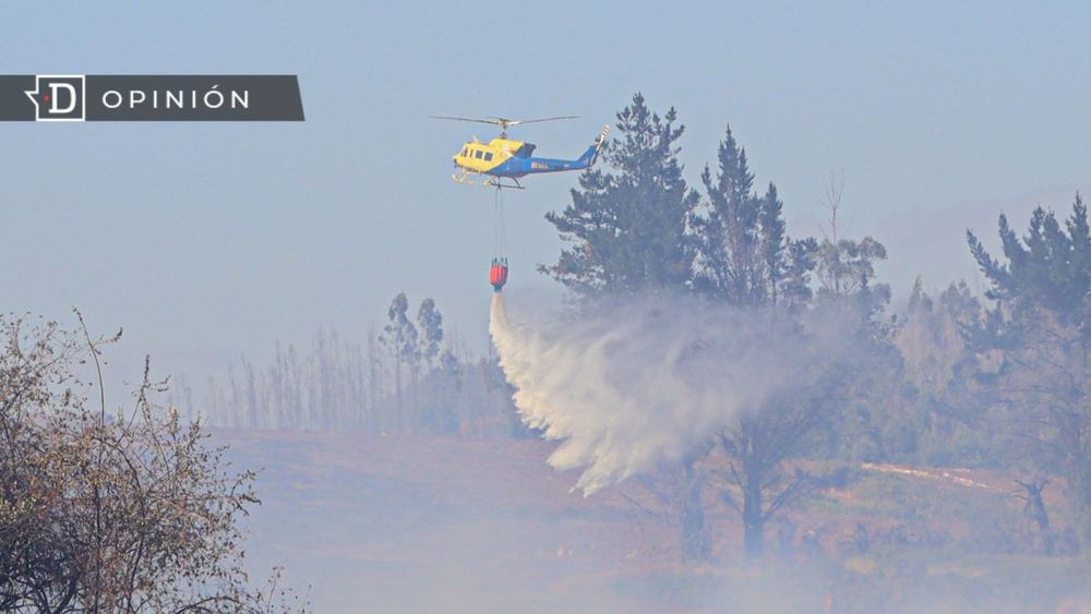 Chile en llamas: La urgencia de enfrentar los incendios forestales