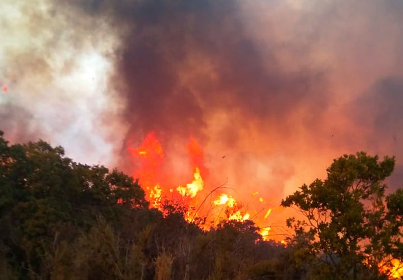 EXL4g1sWAAABWal 1.jpg