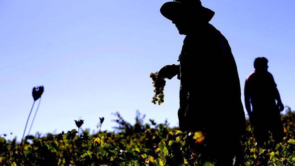 Acusan trabajo forzado en Chile. Acusan trabajo forzado en Chile.