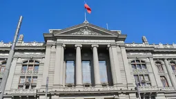 Vecina consigue que Corte de Apelaciones ordene al municipio talar árboles que amenazan a la comunidad en un plazo de 30 días