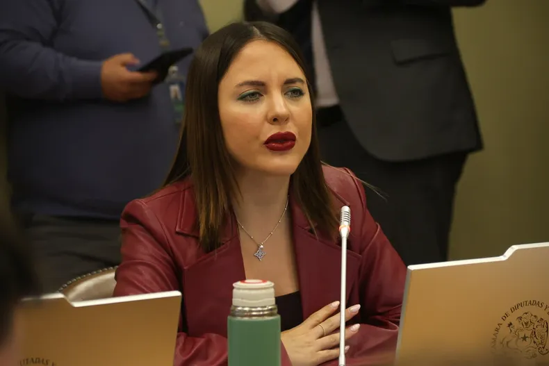 13758 musante diputada.webp