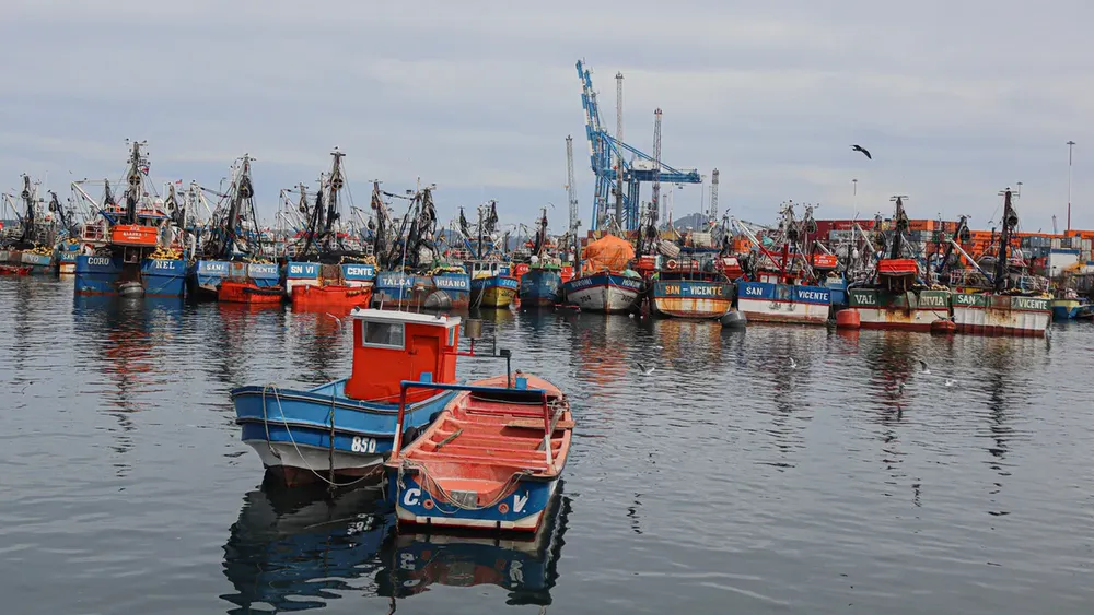 Su cuenta pública es la última oportunidad: Pescadores artesanales piden a presidente Boric fin a Ley Longueira