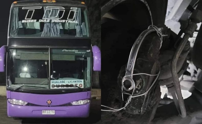 Bus.jpg
