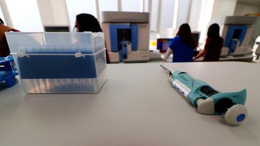COVID-19 se dispara en Argentina: 211 fallecidos y más de 10 mil contagiados en las últimas 24 horas