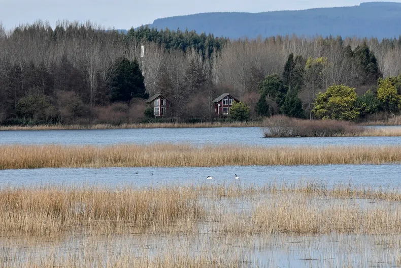 consolida nuestro liderazgo climatico chile entra al comite internacional que resguarda los humedales.webp