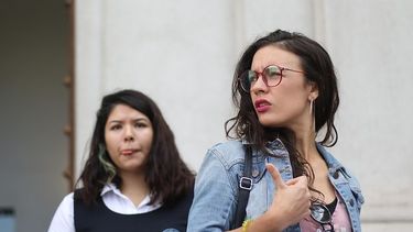 El Desconcierto | Camila Vallejos.jpg