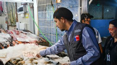 Peaje a luca, fiscalizaciones y consumo de pescados y mariscos: Medidas Semana Santa