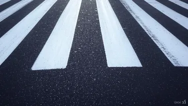 Peatón atropellado en paso de cebra quedó con 28% de discapacidad: Chofer y dueña de camioneta le pagarán millonario monto