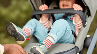 El Desconcierto | 14596 diseno sin titulo 2025 04 21t170118.webp