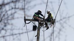 Empresa agrícola y eléctrica de Arica deberán indemnizar a familiares de trabajadores bolivianos muertos en el Valle de Azapa