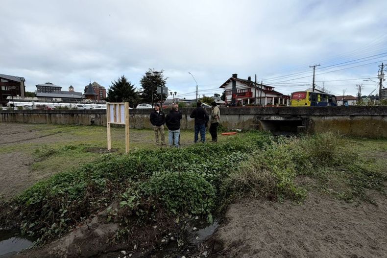 Diseño sin título - 2026-04-21T101315.418