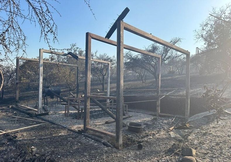 Limache incencio.jpg