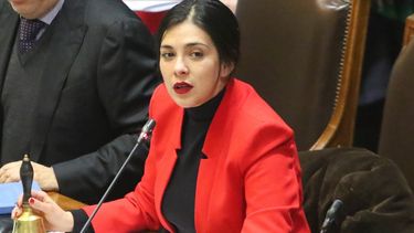 Ley de reparación a víctimas de femicidios suma 100 pensiones a hijas e hijos de afectadas