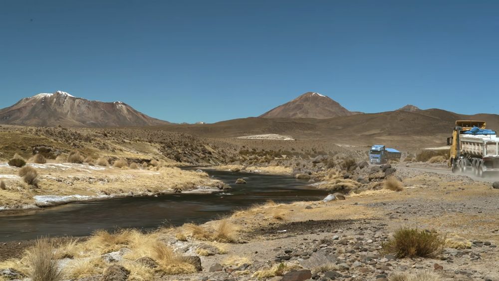 Con señaléticas y talleres para camioneros, buscan reducir atropellos a fauna nativa en Arica