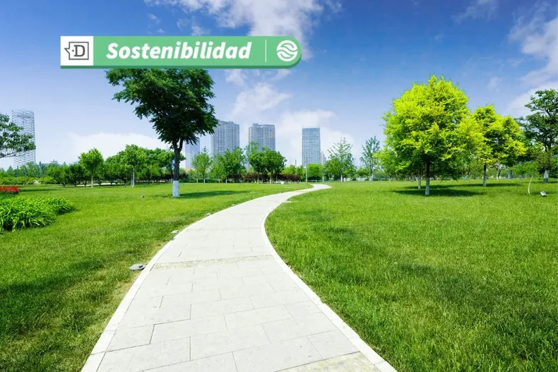 19423 diseno sin titulo 2025 07 21t101906.webp