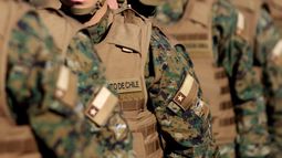 Consejo Para la Transparencia golpea la mesa: Ejército debe mantener publicados sus manuales en su página web