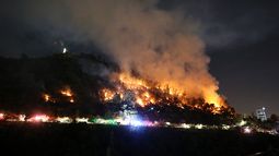 Realizan evacuación preventiva del zoológico metropolitano por incendio en cerro San Cristóbal