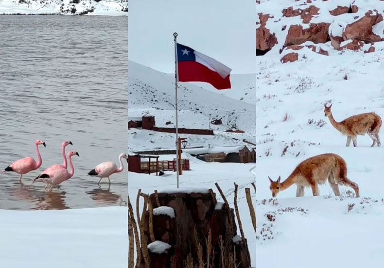 Las imágenes que dejó la nieve en el Desierto de Atacama - Captura de video