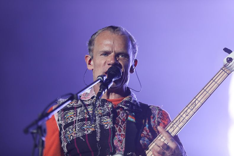 flea.jpg