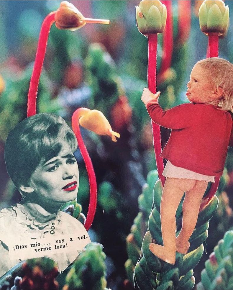 Collage La Miope.jpeg