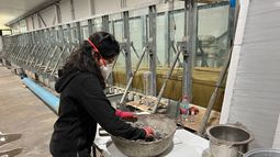 Investigadora UCSC busca utilizar conchas de mitílidos para una infraestructura costera más sostenible Investigadora UCSC busca utilizar conchas de mitílidos para una infraestructura costera más sostenible