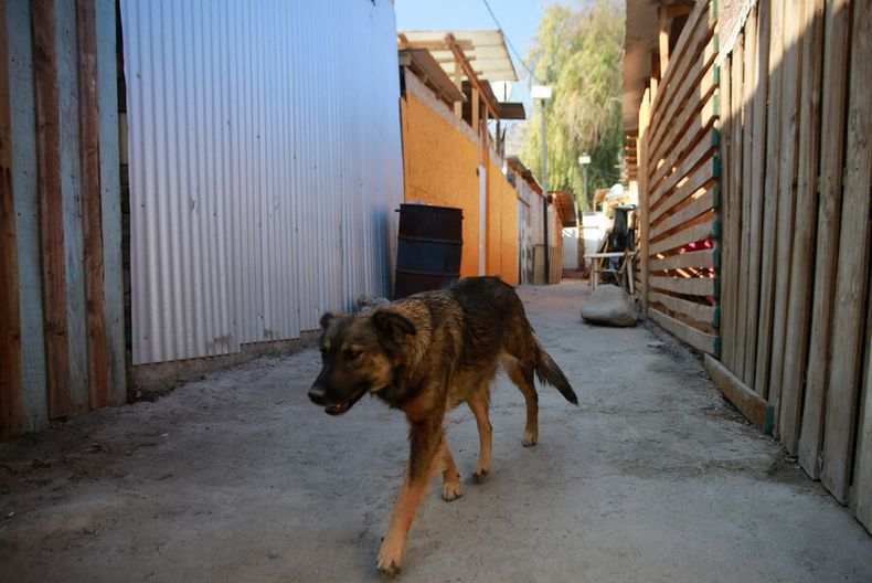 4713 campamentos.jpg