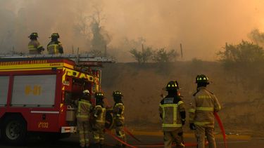 El Desconcierto | bomberos incendio forestal contexto.jpg